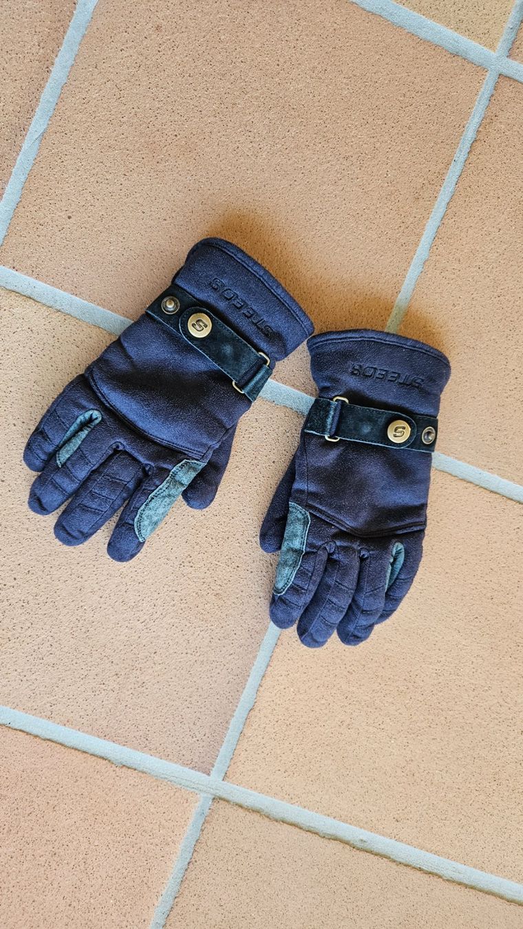 Guanti: Reithandschuhe Winter Steeds – Usato da Bubikon venduto da diditoto