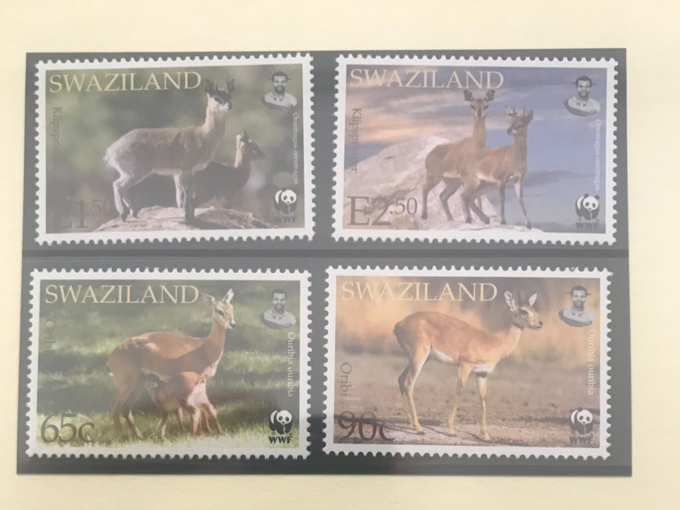 Tutti i francobolli: WWF Swasiland 2001 Satz Klippspringer und Oribi postfrisch – Nuovo (secondo la descrizione) da Liestal venduto da schnueps