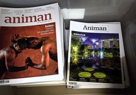 Animan Magazine Ausgaben 47 bis 247 - Rarität!