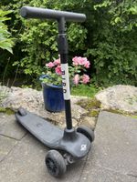 Bird Dreirad Roller, ideal für kleine Kinder ab 3 Jahren