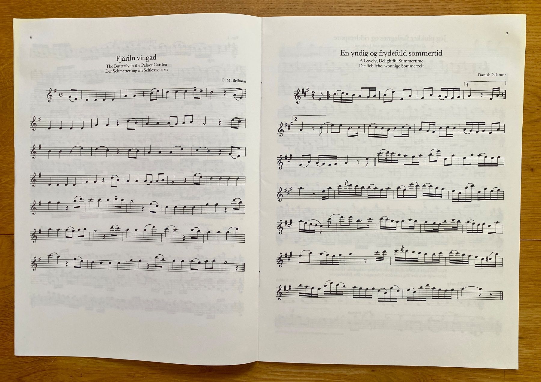 Strumenti musicali: Chinese Flute Solos – Usato da Luzern venduto da Tibia71 4
