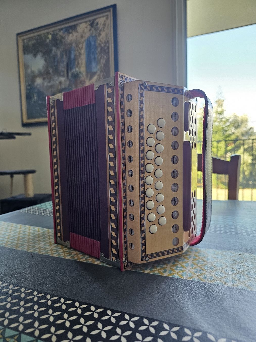 Strumenti musicali: Schwyzerörgeli / Schwyzoise Reist  – Nuovo (secondo la descrizione) da Perly venduto da gae_8qhq 2