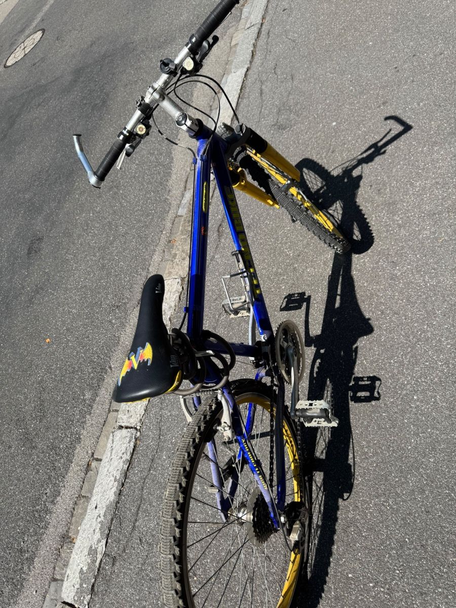 Velos: Kindervelo (ca. ab 12j.) – Defekt aus Fribourg von Papavero_ 6