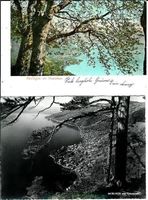 Merligen BE Thunersee 2 AK 1909 +  1950 sehr gut erhalten