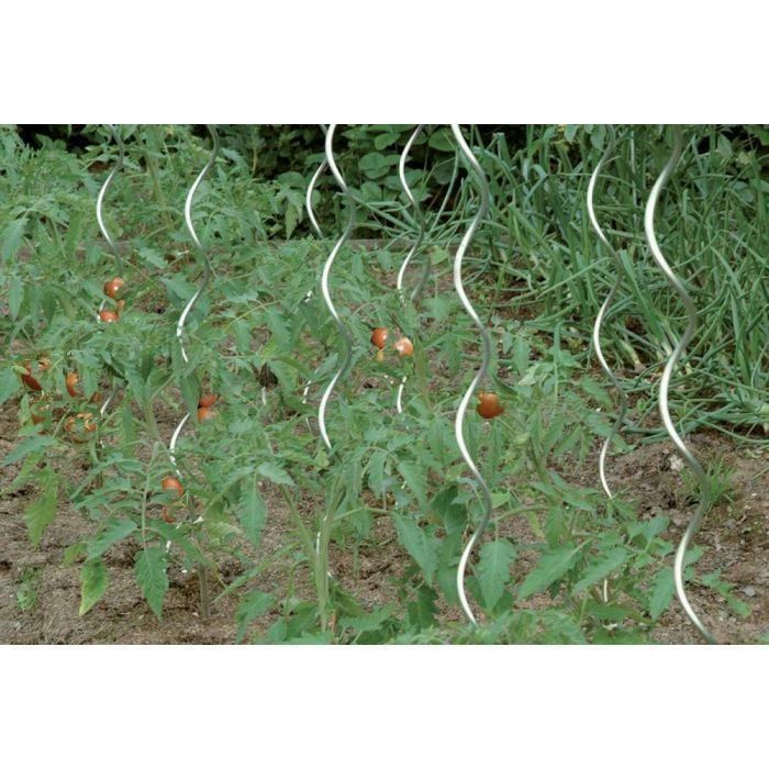 Pflanzstab, Rankhilfe, Tomatenstab, Tomaten  mehrere 1,20m- 5