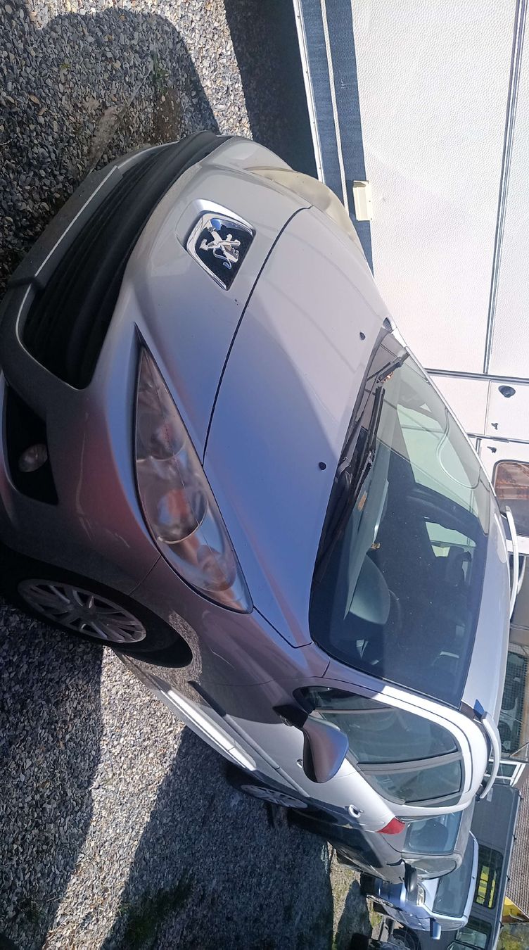 Peugeot Automobili: Peugeot 207 1.4 pour export – Difettoso da Nax venduto da sdr_p79l