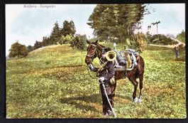 Artillerie Trompeter Militär Schweiz Soldat Armee Suisse PK