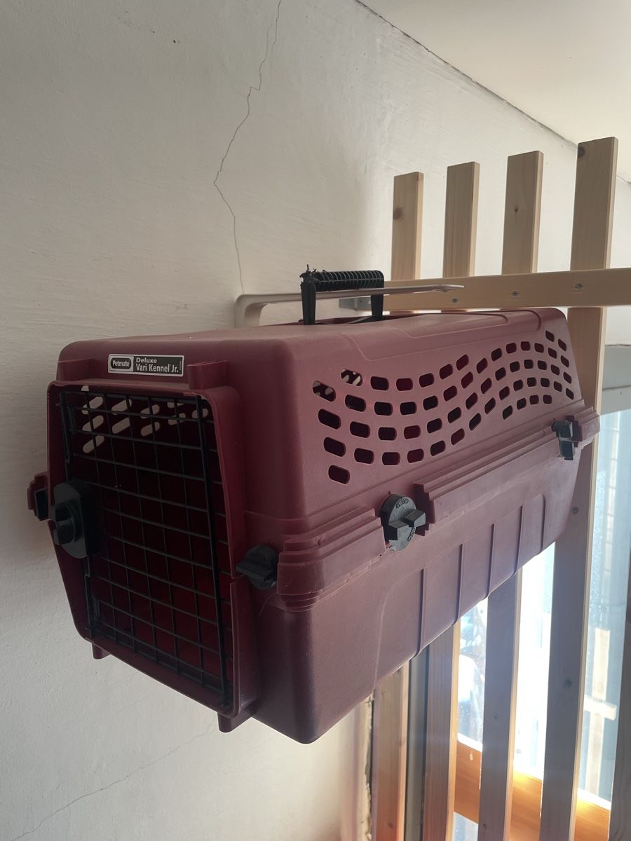 Gabbie, trasporto & Sicurezza: Gebrauchte Hunde-/Katzentransportbox Vari Kennel Junior – Usato da sennwald venduto da pablo.93