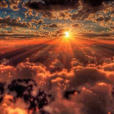 Profile image of Sunrain