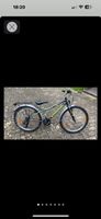 Kindervelo Crosswave Raptor 24“