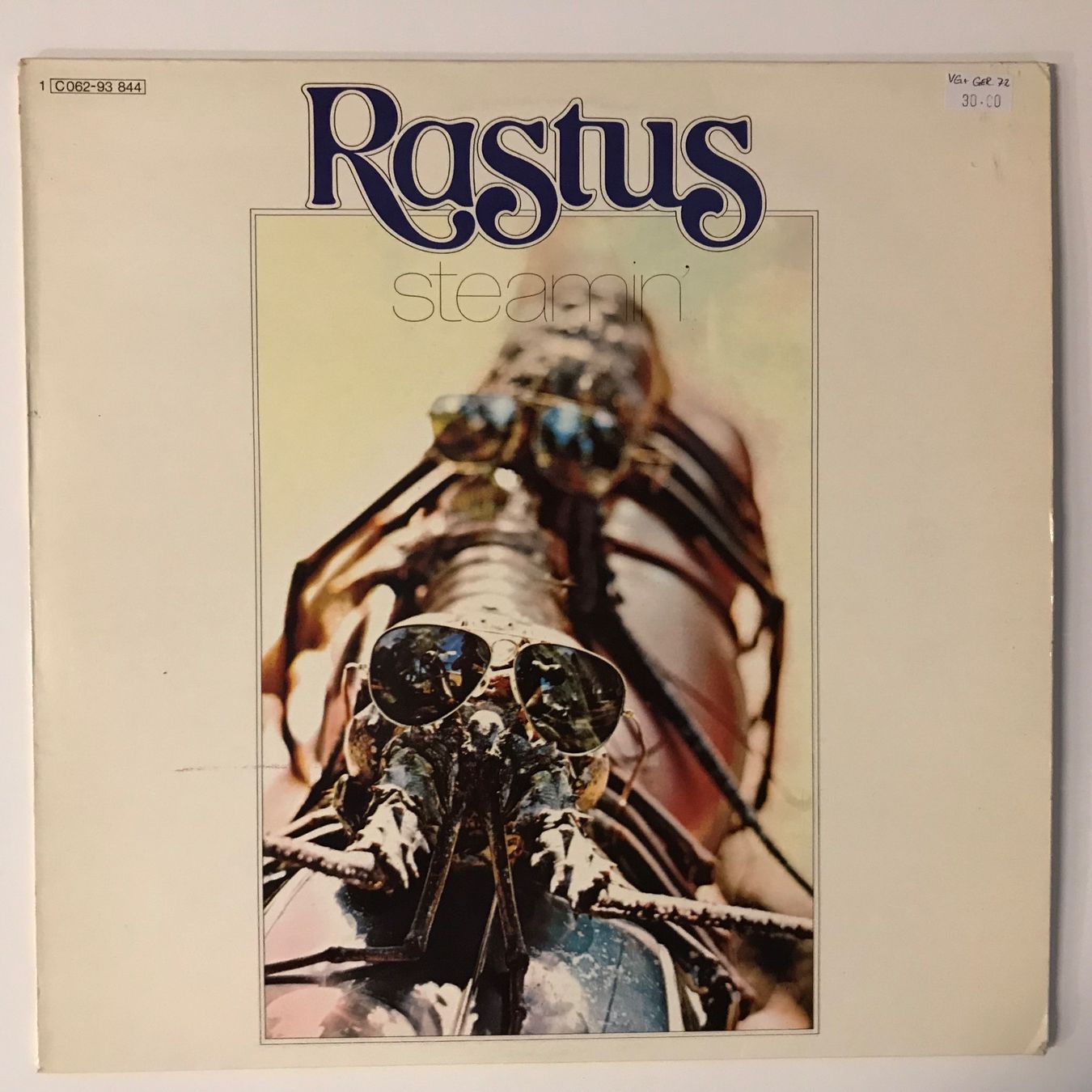 Dischi in vinile: Rastas - Steamin' – Usato da Aesch BL venduto da BlueMusicRecords