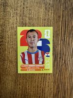 Panini FIFA World Cup 2026 Sticker Alejandro Romero Gamarra