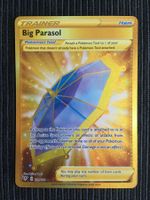 Pokemon big Parasol Gold Darkness Ablaze EN