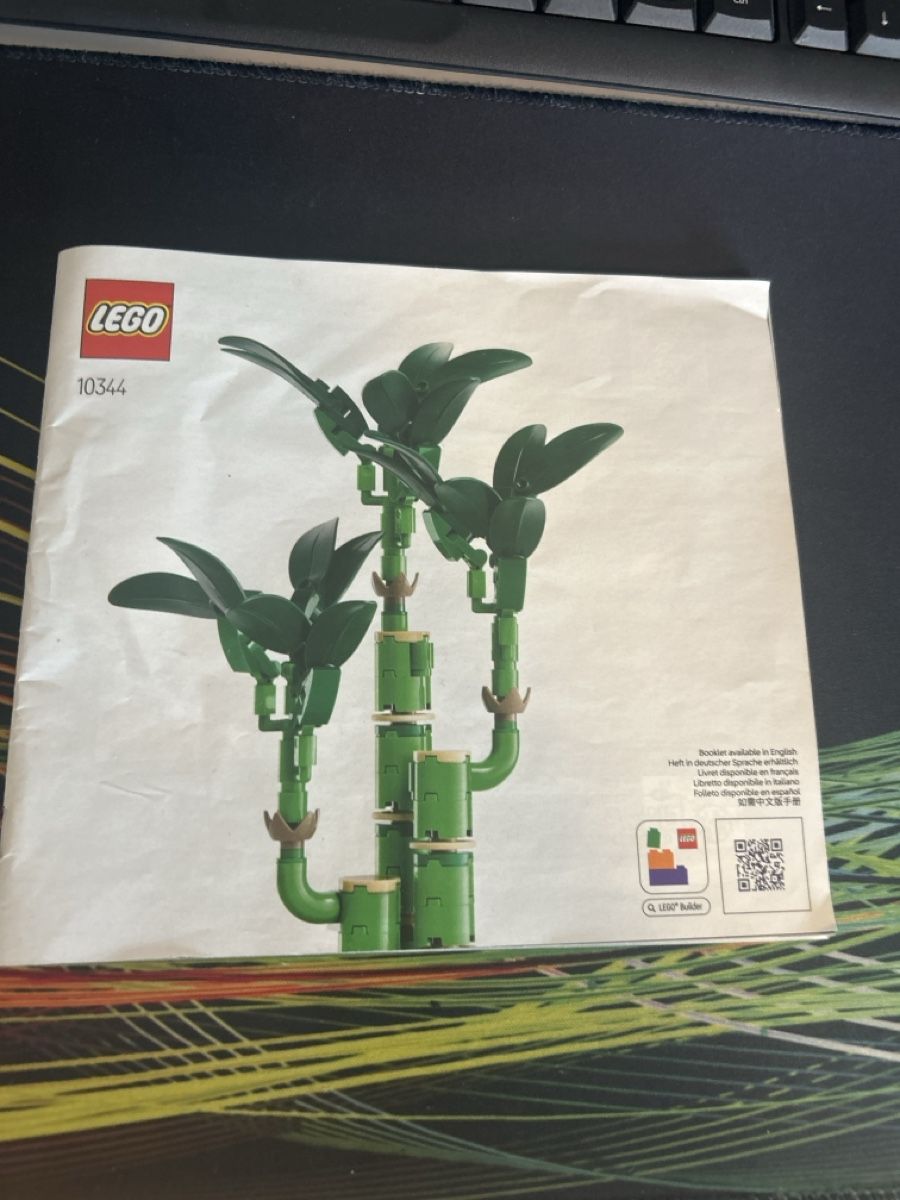 Lego Jeux de construction: Lego Botanic  Lucky Bamboo – D'occasion à Zürich par Fuerstmar84 2