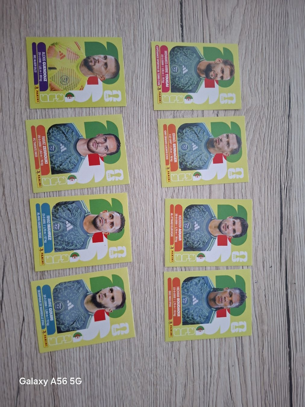 Panini Carte collezionabili: panini alg – Nuovo e nell'imballaggio originale da Vionnaz venduto da NMNB 1