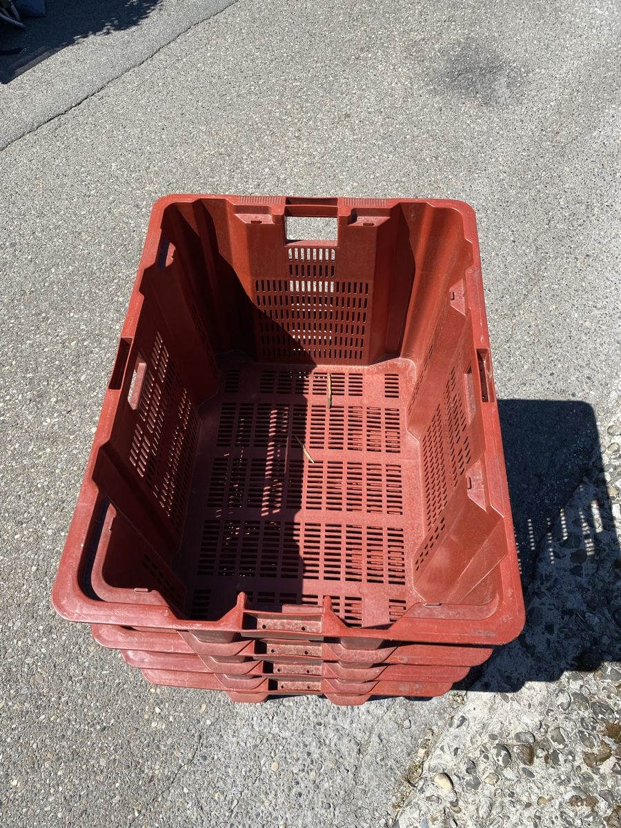 Casse di trasporto: 4er Set Kisten gross – Usato da Glattbrugg venduto da Pischte.Brockenhaus 2