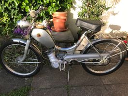 Mofa Sachs Pony