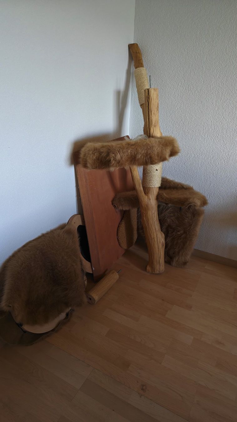 Tiragraffi: Katzenbaum – Usato da Hallwil venduto da miichii_91 1
