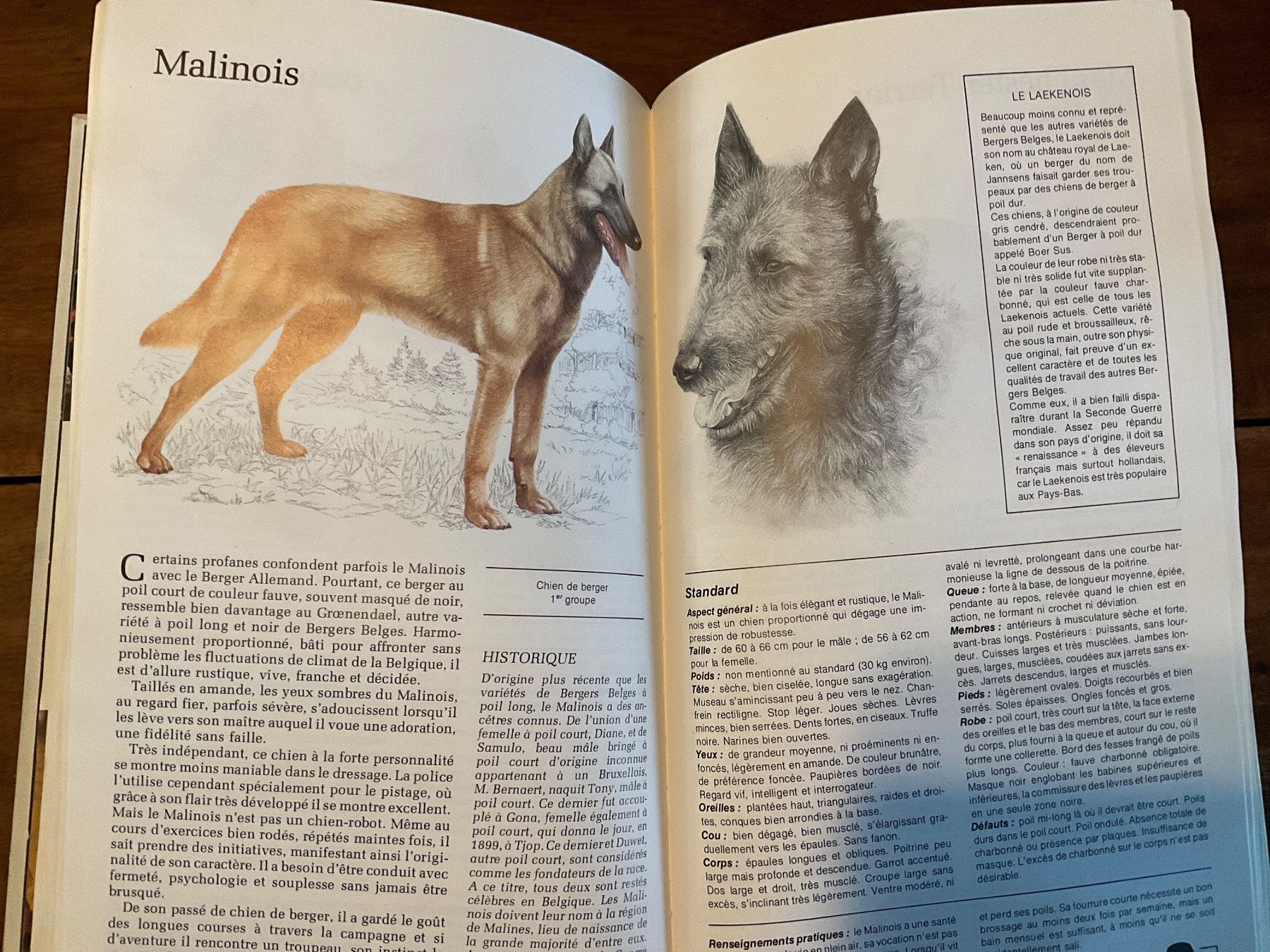 Livres: Guide des Chiens Sélection Reader's Digest – D'occasion à Avenches par Lactobacille 2
