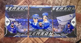 SportZoo Season Breakdown EVZ Zug