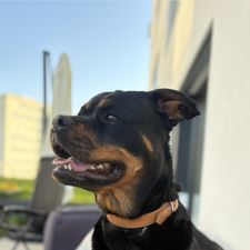 Profile image of brendaT