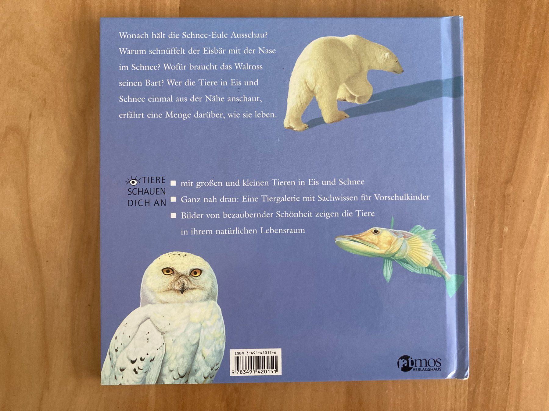 Libri: TIERE  IN  EIS  UND  SCHNEE      PATMOS Verlag – Usato da Subingen venduto da Etageren 1