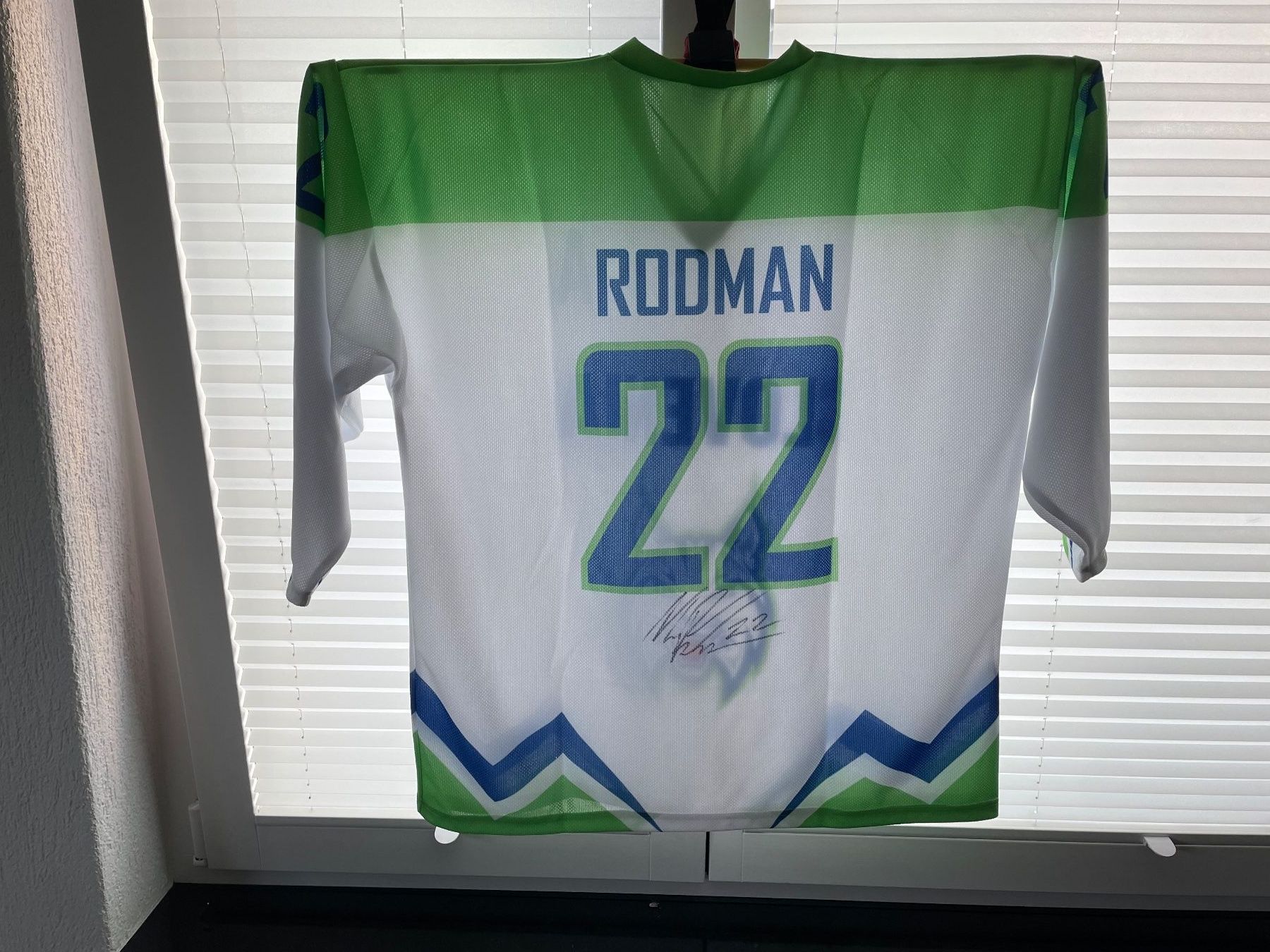 Leibchen & Hosen: Eishockey Trikot – Neu (gemäss Beschreibung) aus Hünenberg von bahnsidi 1