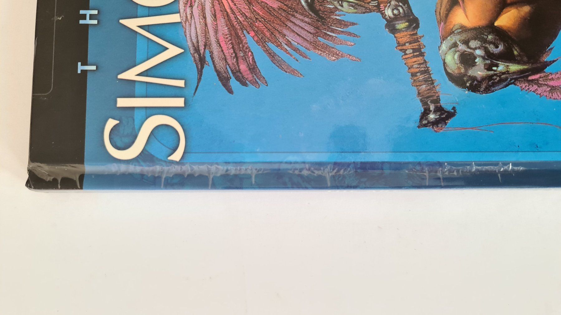 Fumetti: Simon Bisley Art Book, Heavy Metal , DC Comic – Usato da Aesch BL venduto da pri_fp8t 5
