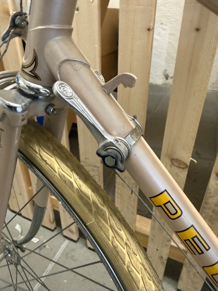 Peugeot Biciclette: Peugeot Damenvelo – Usato da zürich venduto da nor_p6jf 2