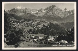 Chésières-Villars, Panorama et les Muv