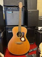 Akustische Western Gitarre Walden Natura G730