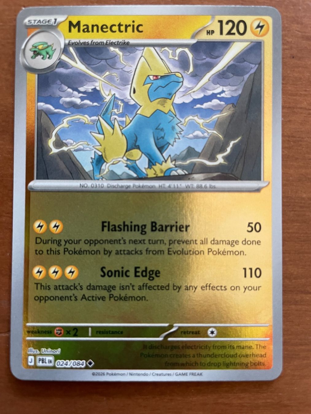 Pokémon Carte collezionabili: Pokemon Manectric Reverse (Versand gratis) – Nuovo (secondo la descrizione) da Chur venduto da Angerson