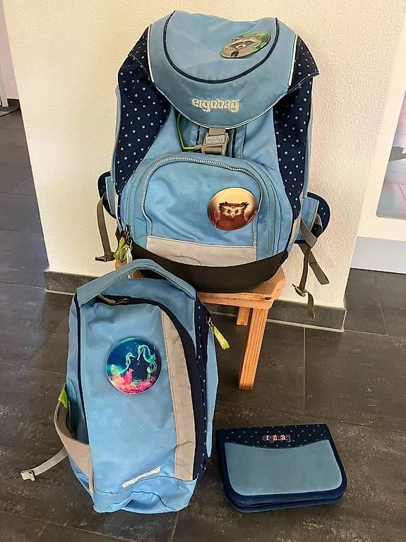 Borse & Zaini: Ergobag Schulthek / Rucksack / Schulranzen – Usato da Sins venduto da Icezeit0