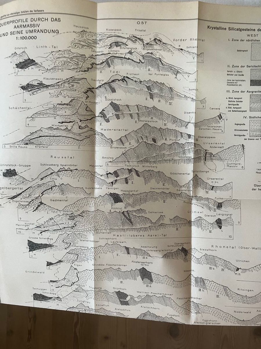 Libri: Albert Heim Geologie der Schweiz – Usato da ZUERICH venduto da Carolus1 9
