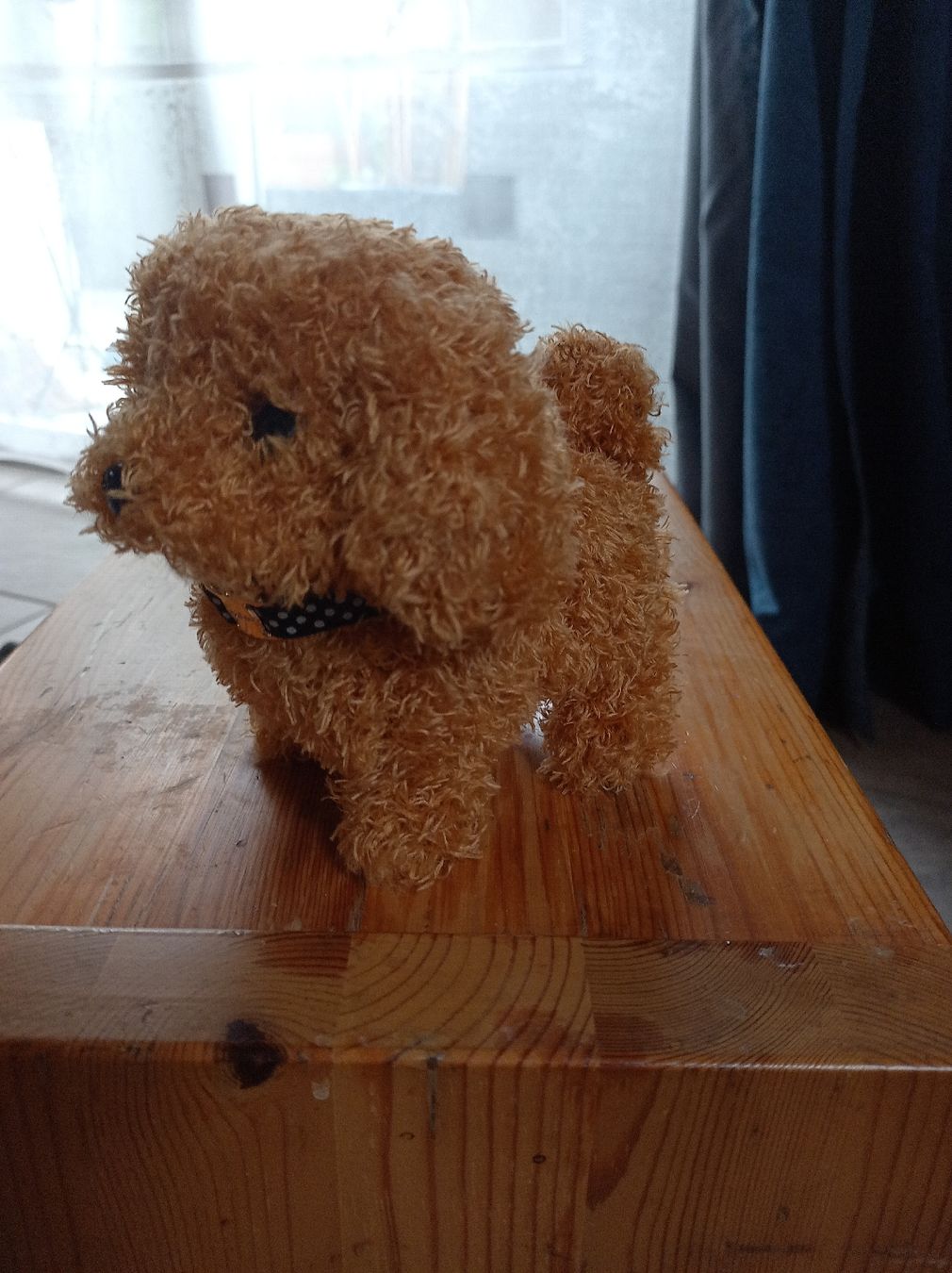 Jouets: Roboterhund  – Neuf avec emballage d'origine à Romanshorn par lobpreis01 3
