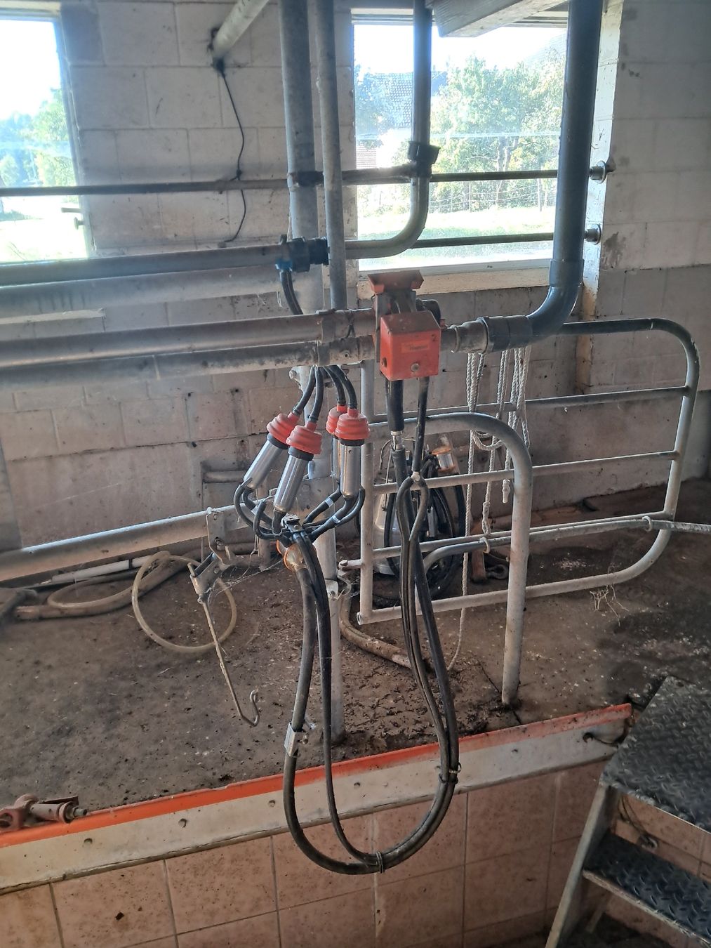 Toutes les machines: 2×4 Happel Melkstand  – D'occasion à Buch b. Märwil par M_Flint 1