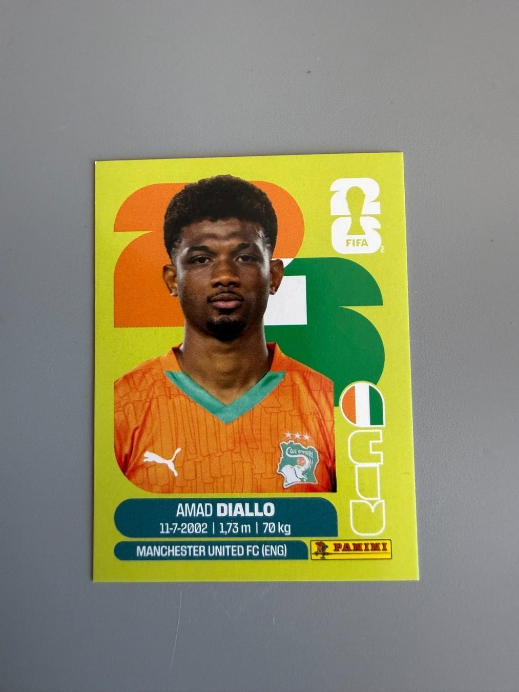 Panini Carte collezionabili: Panini Amad Diallo CIV15 – Usato da Liebefeld venduto da Ronaldo-1996