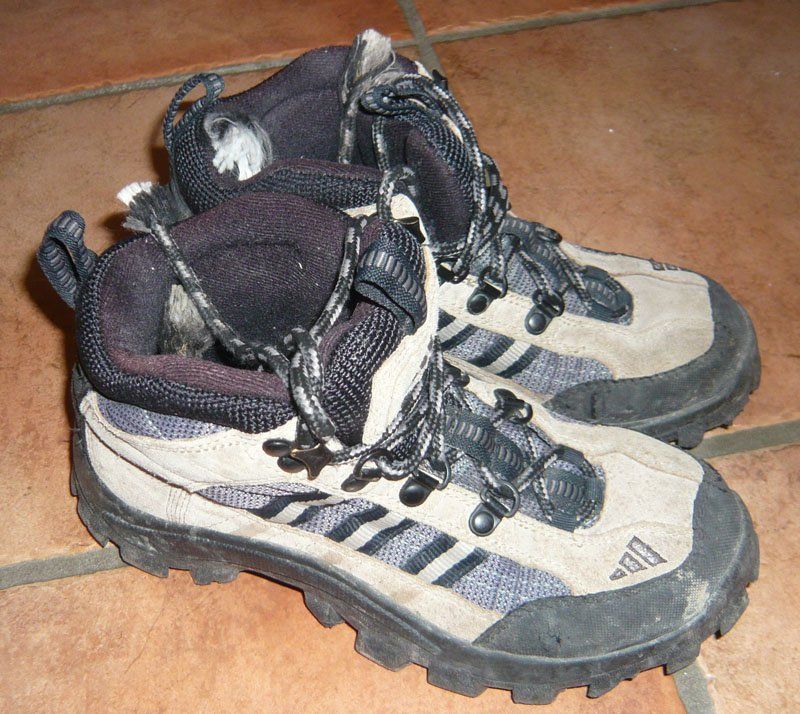 Adidas Scarpe da uomo: Wanderschuhe / Schuhe Adidas Gr 35 – Usato da Ruggell venduto da Dolce9