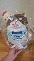 LAST PRICE! Mameshiba Inu in Birthday costume big Plush