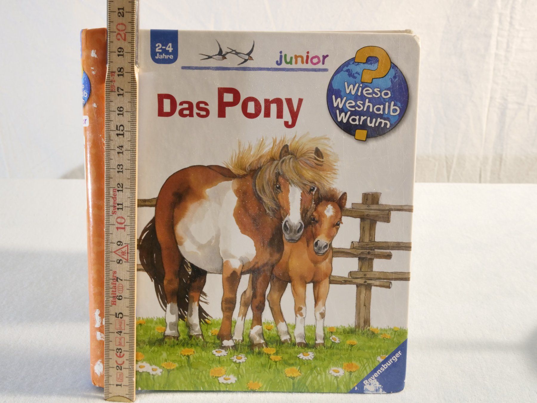 Bücher: Wieso Weshalb Warum? junior: Das Pony – Gebraucht aus Lustmühle von Glatisant 7
