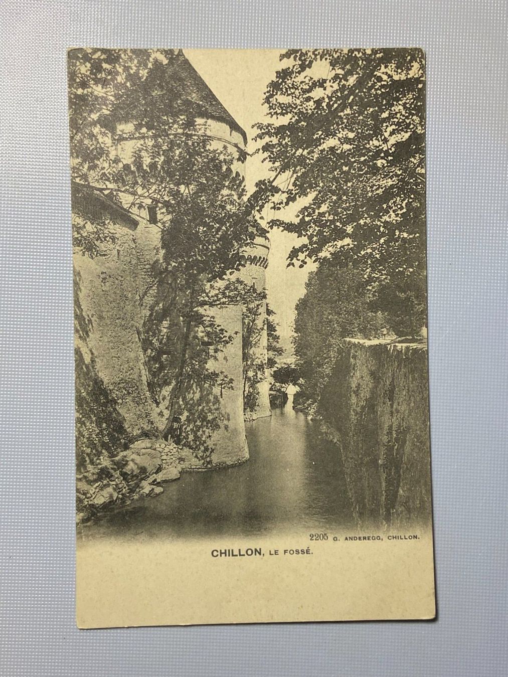 Cartoline postali: Chillon, Le Fossé – Usato da Steg VS venduto da danwer74