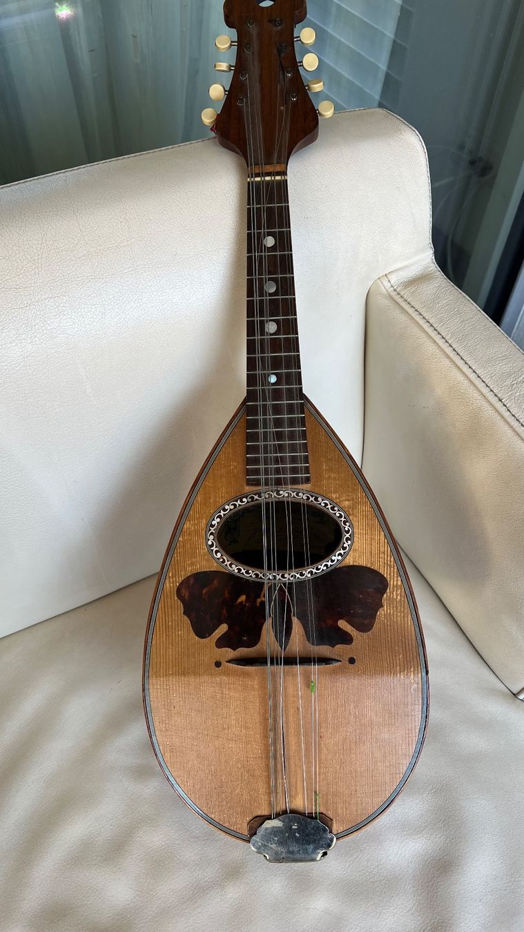 Strumenti musicali: Mandoline Raffaele Calace 1925 – Usato da Luzern venduto da TENDIMO