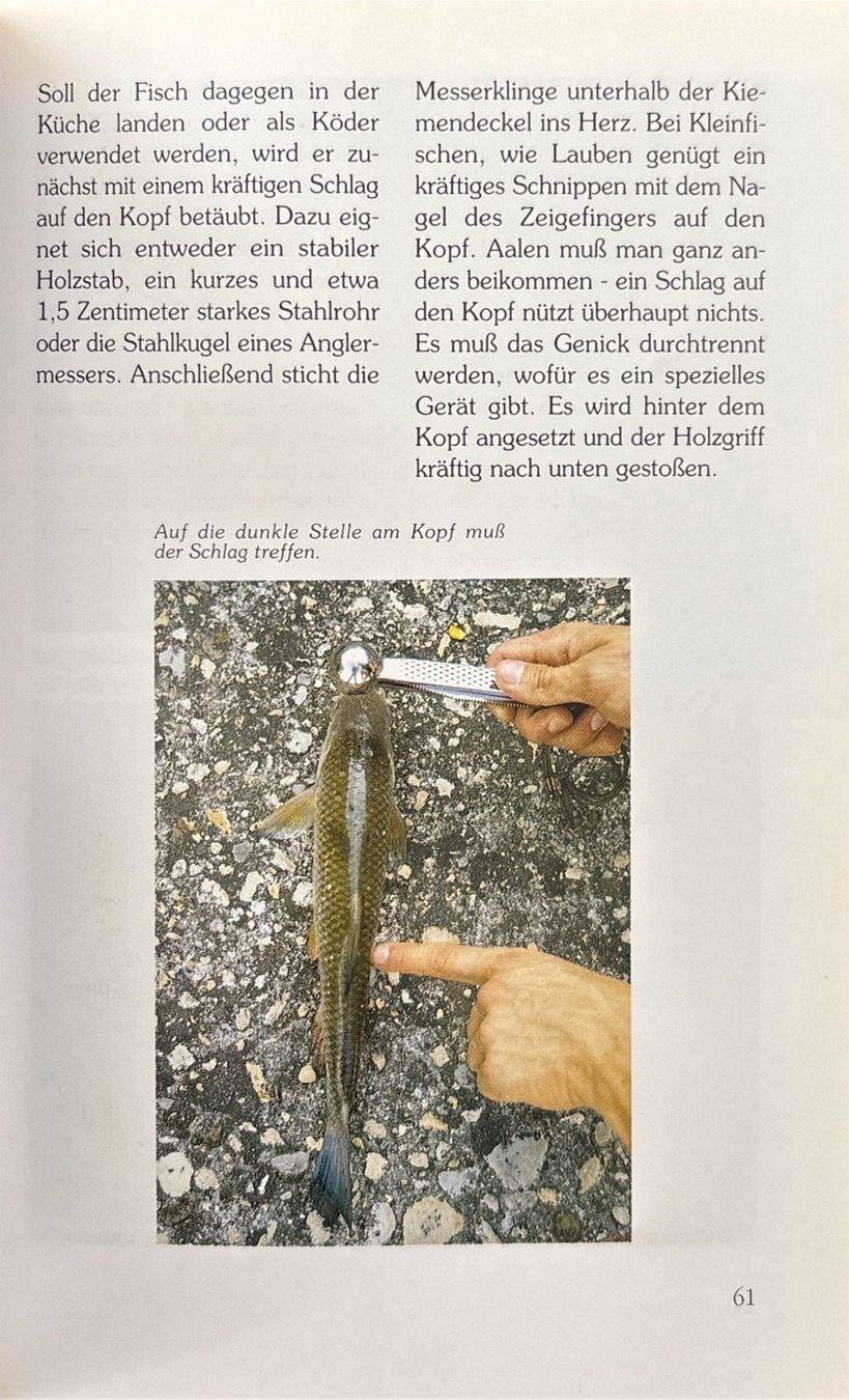 Libri: Weissert Frank, Angeln für Einsteiger – Nuovo (secondo la descrizione) da Sarnen venduto da Livres 6