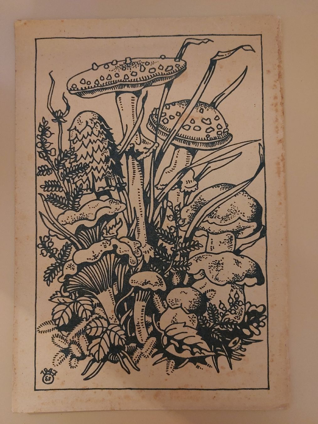 Libri: Malbuch antik 1947 – Usato da Effretikon venduto da swobdo 8