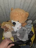 Serie di peluches 