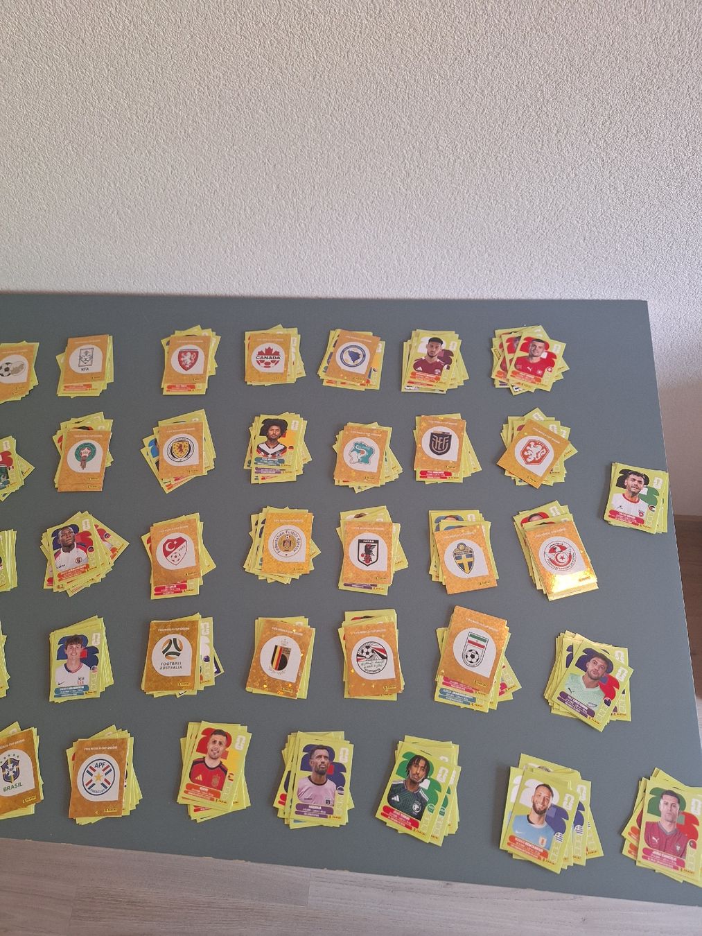 Panini Carte collezionabili: PANINI Worl cup 2026 + 800 cartes – Usato da Luc (Ayent) venduto da biiinchoou 8