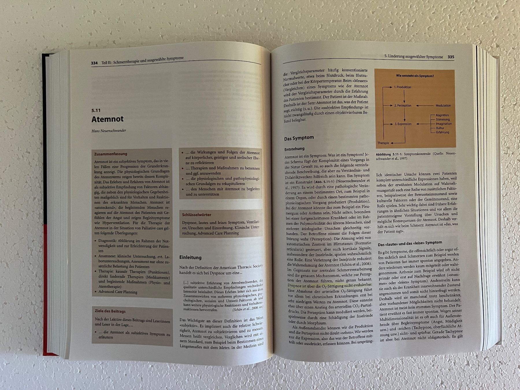 Libri: Lehrbuch Palliative Care 3. top Zustand – Nuovo (secondo la descrizione) da Häusernmoos venduto da adlerfedern 1