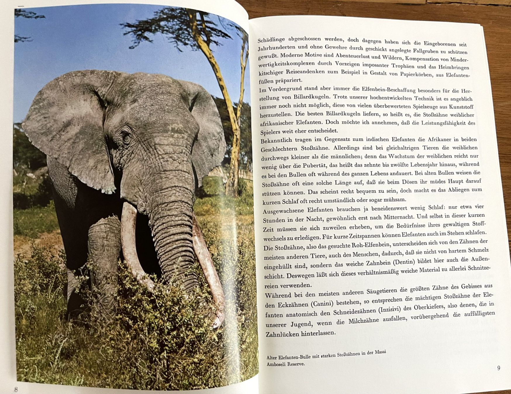 Bücher: Silva Verlag, Zoo Ostafrika, 1966 – Gebraucht aus Oftringen von Vucki 4