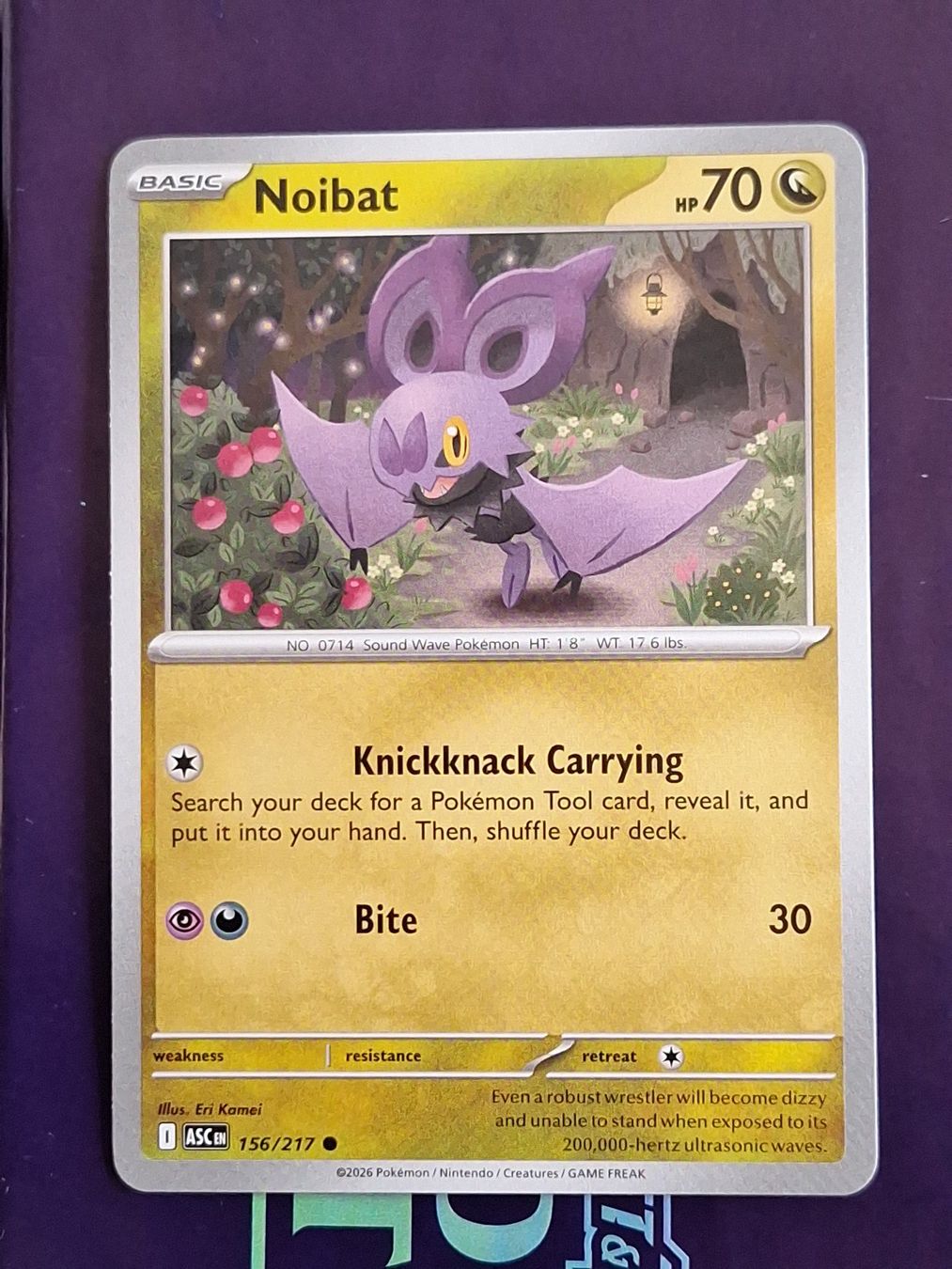 Pokémon Sammelbilder & Trading cards: Noibat - Pokemon Ascended Heroes – Gebraucht aus Altstätten SG von GGsGameshop