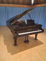 Bechstein B Flügel